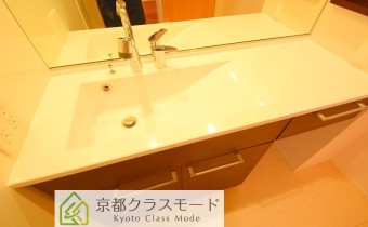 シャンプードレッサー