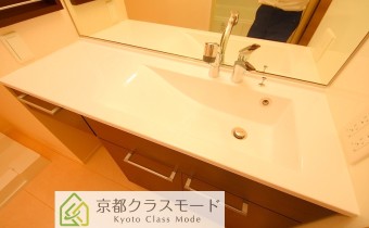 シャンプードレッサー
