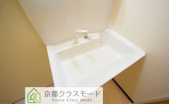 シャンプードレッサー