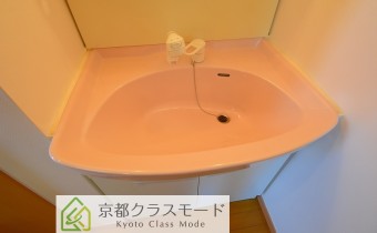 シャンプードレッサー