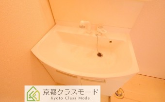 シャンプードレッサー