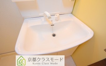 シャンプードレッサー