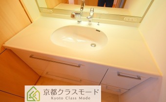 シャンプードレッサー