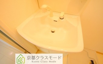 シャンプードレッサー