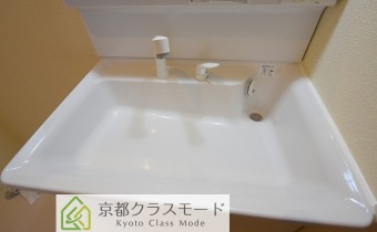 シャンプードレッサー