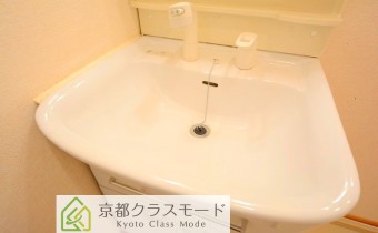 シャンプードレッサー