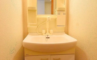 シャンプードレッサー