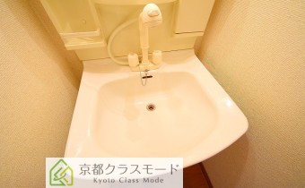 シャンプードレッサー