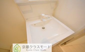 シャンプードレッサー