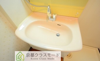 シャンプードレッサー