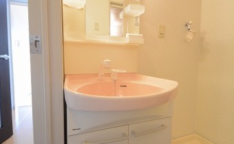シャンプードレッサー