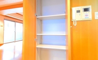 LDKの収納スペース①