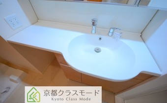 シャンプードレッサー