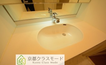 シャンプードレッサー　