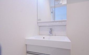 シャンプードレッサー