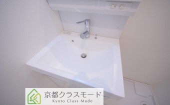 シャンプードレッサー