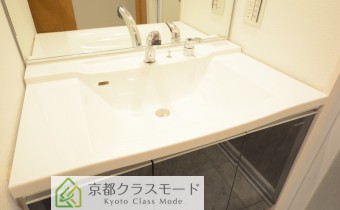 シャンプードレッサー