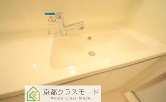 シャンプードレッサー