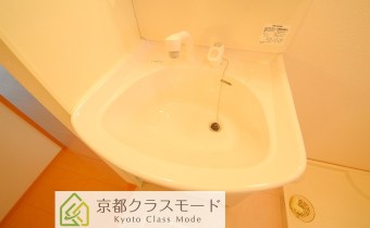 シャンプードレッサー