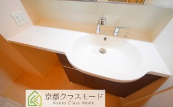 シャンプードレッサー