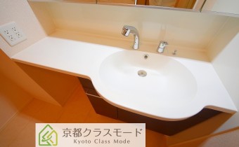 シャンプードレッサー
