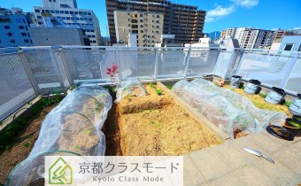 有料の家庭菜園スペースもあります☆