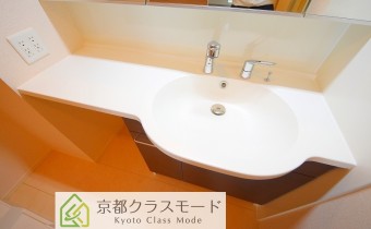 シャンプードレッサー