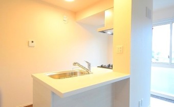 カウンターキッチン