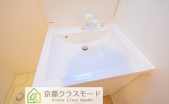 シャンプードレッサー