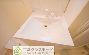 シャンプードレッサー