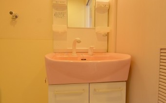 シャンプードレッサー