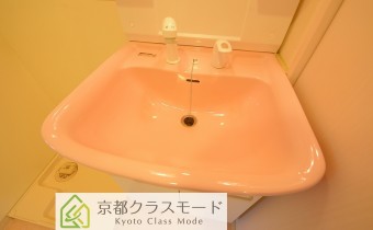 シャンプードレッサー