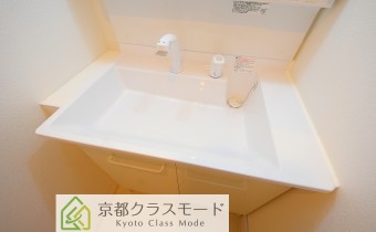 シャンプードレッサー