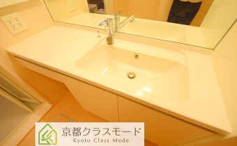 シャンプードレッサー