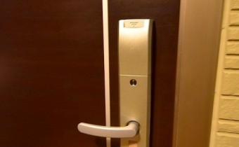 カドキータイプ