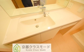 シャンプードレッサー