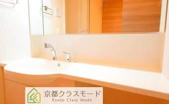 シャンプードレッサー