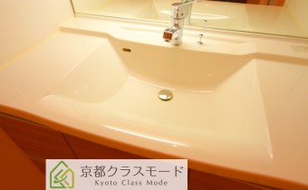 シャンプードレッサー