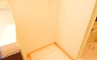 室内洗濯機置場