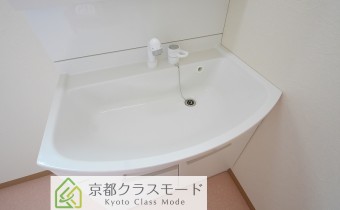 シャンプードレッサー