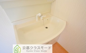 シャンプードレッサー