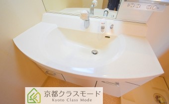 シャンプードレッサー