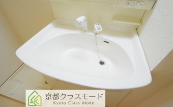 シャンプードレッサー