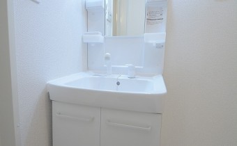 シャンプードレッサー