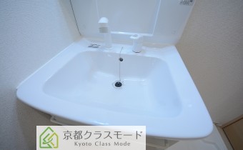 シャンプードレッサー