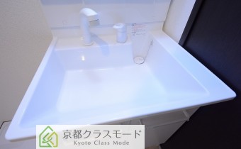 シャンプードレッサー