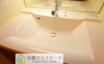 シャンプードレッサー