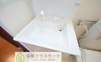 シャンプードレッサー