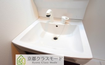 シャンプードレッサー