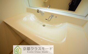 シャンプードレッサー